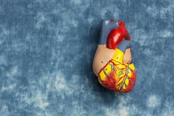 Hipercholesterolemia - przyczyny, objawy i leczenie