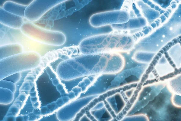 Jak odbudować florę bakteryjną po antybiotyku?