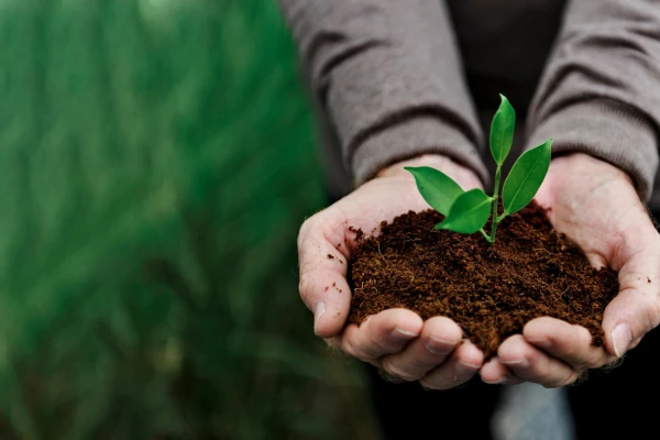 Produkty BIO a EKO – czym się różnią?