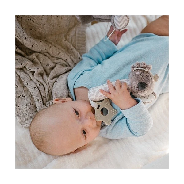 BabyOno, zabawka piszczek z gryzakiem, koala Coco, po 3 miesiącu, 1633, 1 sztuka 2